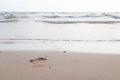 Beautiful wave soft blue ocean wave on clean sandy beach with footsteps walking into the sea.