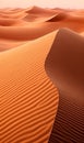 Beautiful waves of sand dunes in a vast sandy desert Royalty Free Stock Photo