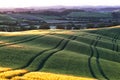 Beautiful wavy fields Royalty Free Stock Photo