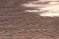 Beautiful wavy sand texture. Sand dunes, rippled sand formations. Summer sand background texture Royalty Free Stock Photo