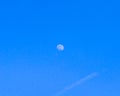 Gibbous moon in clear morning sky