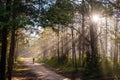 Beautiful way in forest at Phu Kradung National park