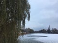 Ice pond in winter