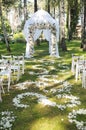 Beautiful wedding archway. Arch decorated with white cloth and flowers