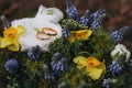 Beautiful wedding bouquet of different white, blue, green flower Royalty Free Stock Photo