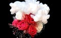 Beautiful wedding bouquet of red and white roses and white watercolor ink in water on a black background Royalty Free Stock Photo