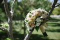 beautiful wedding bouquet of white flowers hanging on the tree Royalty Free Stock Photo