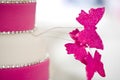 Beautiful wedding cake Royalty Free Stock Photo