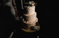 Beautiful wedding cake Royalty Free Stock Photo