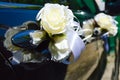 Beautiful wedding car decoration Royalty Free Stock Photo