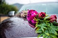 Beautiful wedding car. Front of the luxury car decorated pink flowers on a rainy day. Raindrops on car. Royalty Free Stock Photo