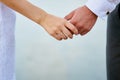 Beautiful wedding couple, bride and groom holding hands Royalty Free Stock Photo