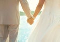 Beautiful wedding couple, bride and groom holding hands together on sea background Royalty Free Stock Photo
