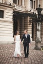 Beautiful wedding couple, bride, groom kissing and hugging against the background of theater Royalty Free Stock Photo