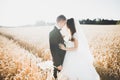 Beautiful wedding couple, bride and groom posing on wheat field with blue sky Royalty Free Stock Photo