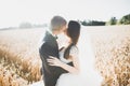 Beautiful wedding couple, bride and groom posing on wheat field with blue sky Royalty Free Stock Photo