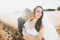 Beautiful wedding couple, bride and groom posing on wheat field with blue sky Royalty Free Stock Photo