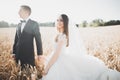 Beautiful wedding couple, bride and groom posing on wheat field with blue sky Royalty Free Stock Photo