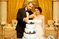 Beautiful wedding couple cutting the wedding cake Royalty Free Stock Photo