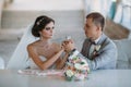 Beautiful wedding couple hugging in park with green trees on background. Groom in a business gray suit, white shirt in a Royalty Free Stock Photo