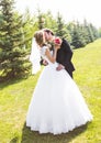 Beautiful wedding couple in park. They kiss and hug each other Royalty Free Stock Photo