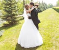 Beautiful wedding couple in park. They kiss and hug each other Royalty Free Stock Photo