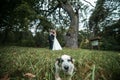 Beautiful wedding couple posing Royalty Free Stock Photo