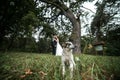 Beautiful wedding couple posing Royalty Free Stock Photo