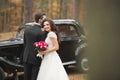 Beautiful wedding couple posing near splendid retro car Royalty Free Stock Photo