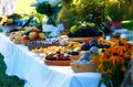 Beautiful wedding feast in nature, abundance of meals on a table. Royalty Free Stock Photo