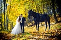 Beautiful wedding portrait in the autumn park. The beautiful gorgeous couple of newlyweds are tenderly hugging while