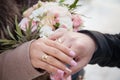 Beautiful wedding rings on the hands of the newlyweds Royalty Free Stock Photo