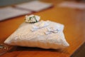Beautiful wedding rings on ring barer pillow Royalty Free Stock Photo