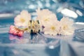 Beautiful wedding rings rose gold white and blue diamonds Royalty Free Stock Photo