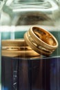 Beautiful wedding rings Royalty Free Stock Photo