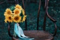 Beautiful wedding shoes with high heels and a bouquet of sunflowers on a vintage chair Royalty Free Stock Photo