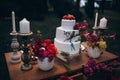 A beautiful wedding three-tiered cake decorated with bird, pink flowers and branches with green leaves in a rustic style. Festive Royalty Free Stock Photo