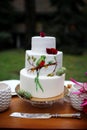 A beautiful wedding three-tiered cake decorated with bird, pink flowers and branches with green leaves in a rustic style. Festive Royalty Free Stock Photo