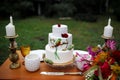 A beautiful wedding three-tiered cake decorated with bird, pink flowers and branches with green leaves in a rustic style. Festive Royalty Free Stock Photo