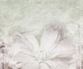 Beautiful Wedding Vintage Background