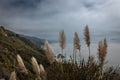 The beautiful west coast of California along Highway 1 Royalty Free Stock Photo