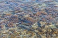 beautiful wet stones on the seashore Royalty Free Stock Photo