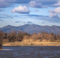 Beautiful Wetland Landscape at aiguamolls d`Emporda Royalty Free Stock Photo