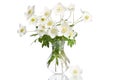 Beautiful white anemones flowers