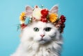 Beautiful white angora cat in a crown of flowers on a blue background Royalty Free Stock Photo