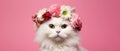 Beautiful white angora cat in a crown of flowers on a pink background Royalty Free Stock Photo