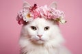 Beautiful white angora cat in a crown of flowers on a pink background Royalty Free Stock Photo