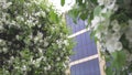 Beautiful white apple blossoms on the apple tree against the modern glass building and grey sky. Stock footage. Spring Royalty Free Stock Photo