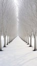 A white avenue trees going into white avenue in the distance white sky Generative AI Royalty Free Stock Photo