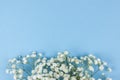 beautiful white baby s breath flowers arranged blue backdrop. High quality photo